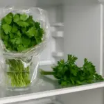 Conservare le erbe aromatiche in frigorifero: la soluzione semplice per mantenerle fresche a lungo