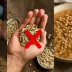Lenticchie secche o già cotte: come cambia la preparazione di una zuppa autunnale